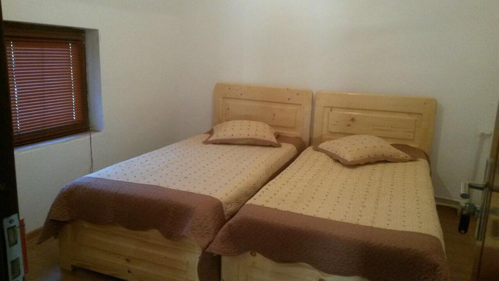 בית הארחה Partizanii 	Casa Marcone מראה חיצוני תמונה