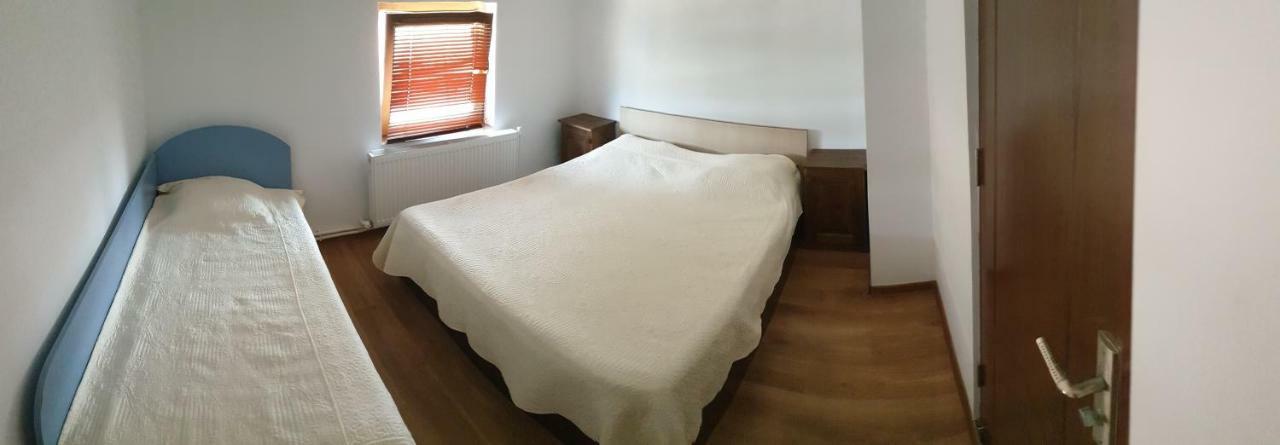בית הארחה Partizanii 	Casa Marcone מראה חיצוני תמונה